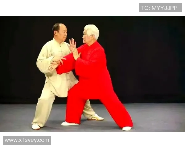 传承与创新杨家太极拳的历史渊源与现代发展探讨