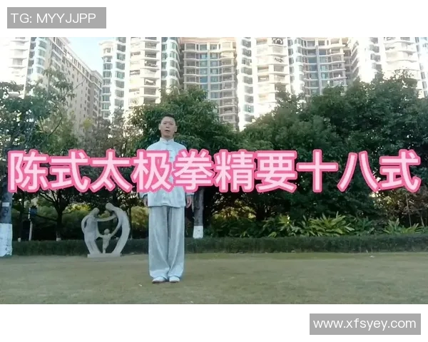 太极拳初学者必看入门视频轻松掌握基础动作与技巧